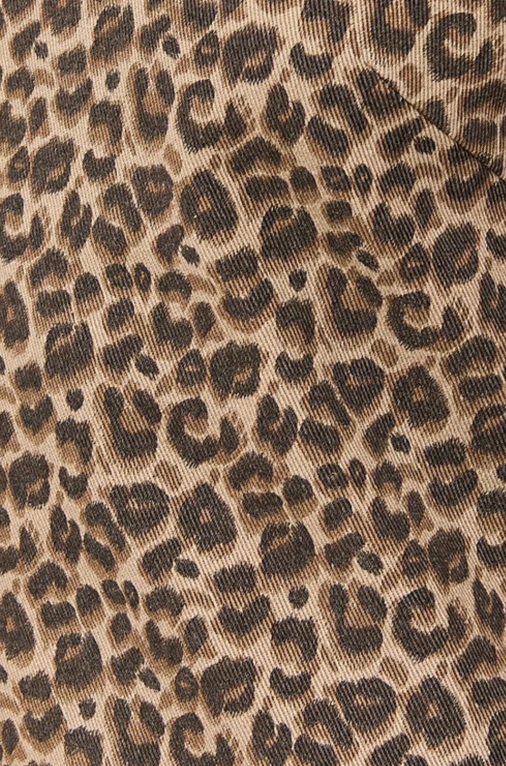 Lovely Leopard Mini Dress